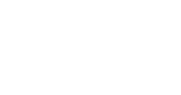 The5%ers logo